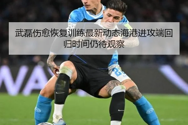 武磊伤愈恢复训练最新动态海港进攻端回归时间仍待观察